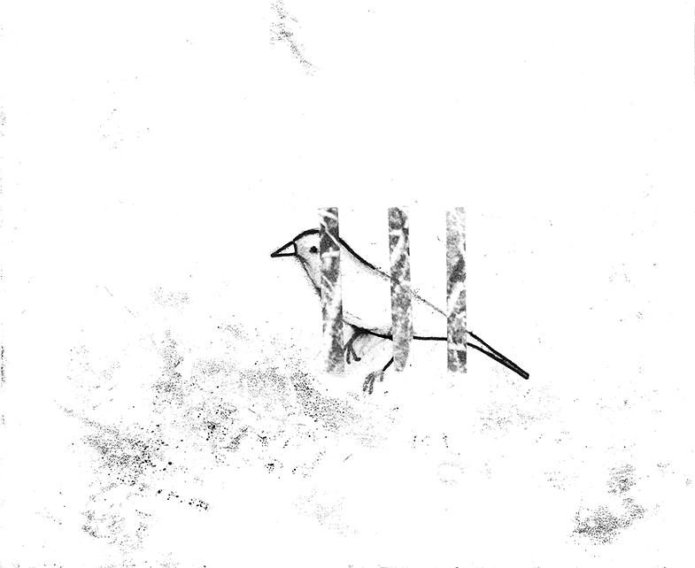 Bon lundi 310 desca 2018