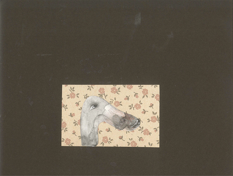 BL 350 2019-06-11-5W